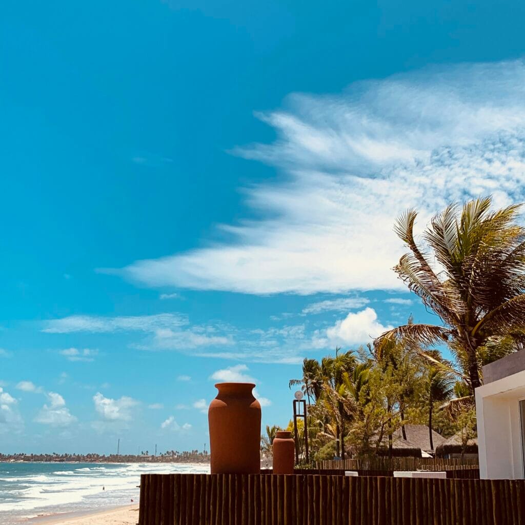 Hotéis pé na areia em Porto de Galinhas — palmeira na praia