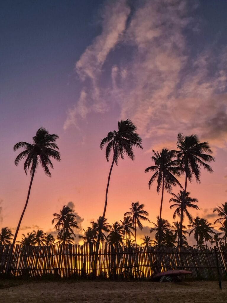 Transfer Recife a Porto de Galinhas — vista da orla
