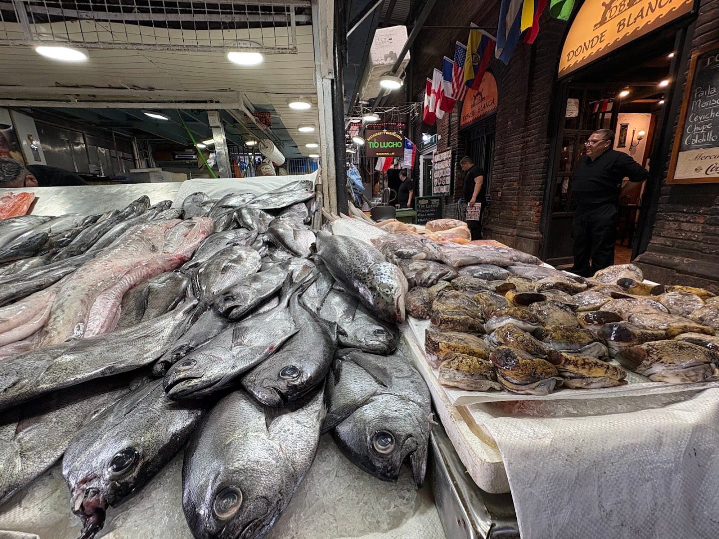 Vitrine de peixes frescos no Mercado Central de Santiago